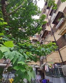 溧阳路文化名人街9