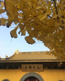 太平禅寺4