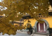 太平禅寺5