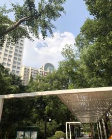 兰溪青年公园28