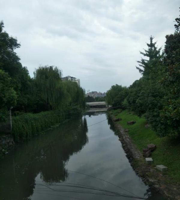 翠苑四区公园