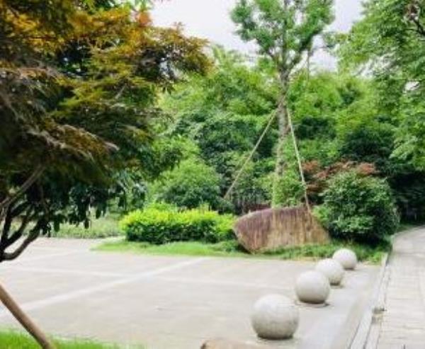三义公园