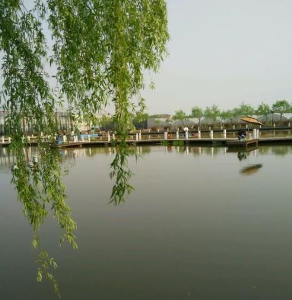 阳力农庄
