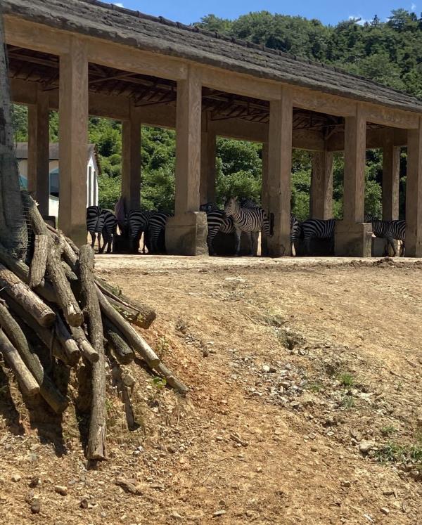 高坞休闲农庄