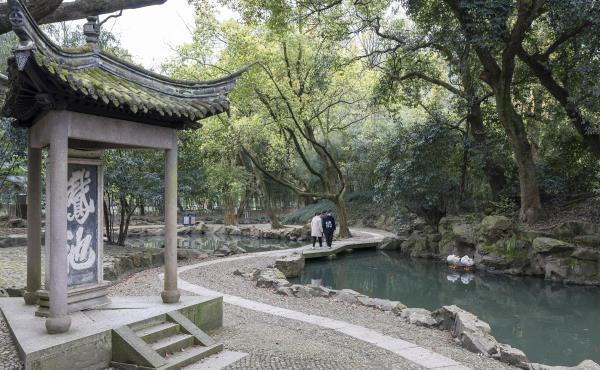 鹅池