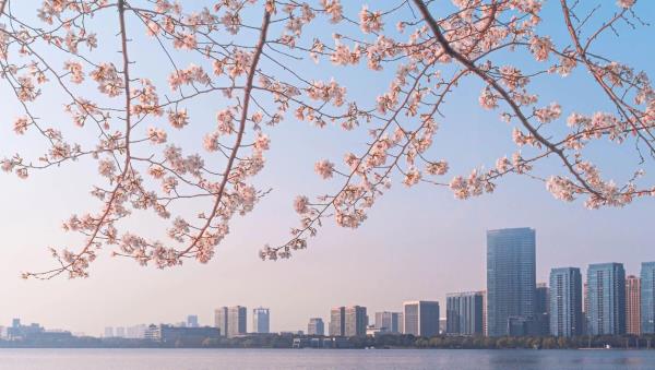 瓜渚湖东岸公园