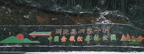 中国金钱松森林公园