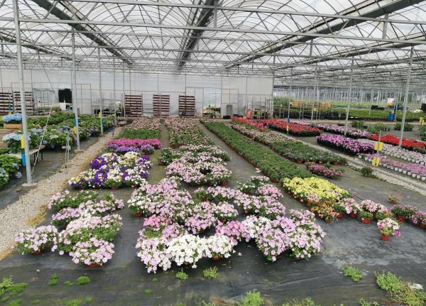 长安花卉科技示范园区