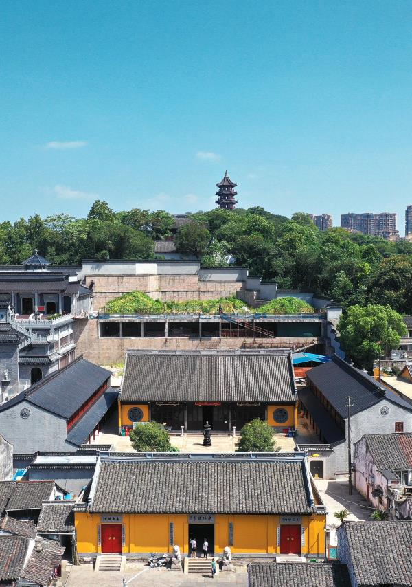 蕺山