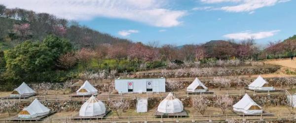 半夏星空牧场