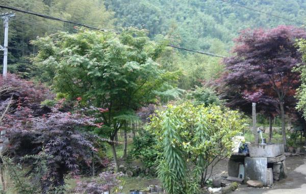 太湖源农家山庄