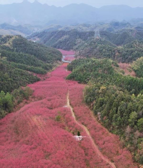 米积村