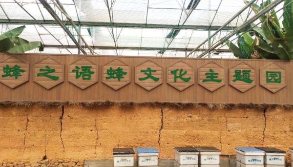 桐庐蜂之语蜜蜂王国