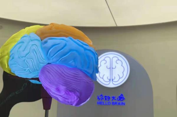 你好大脑