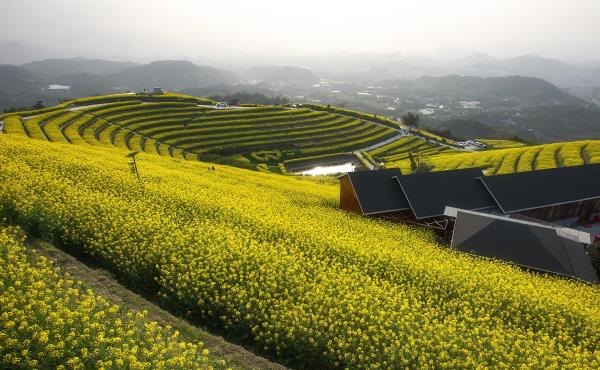 黑山顶