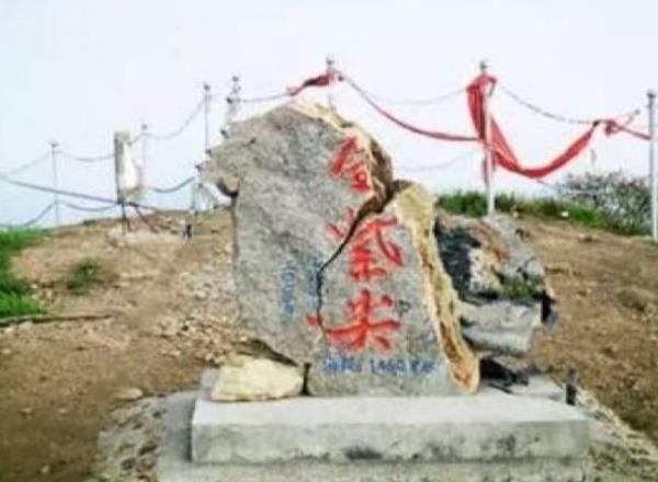 金紫尖