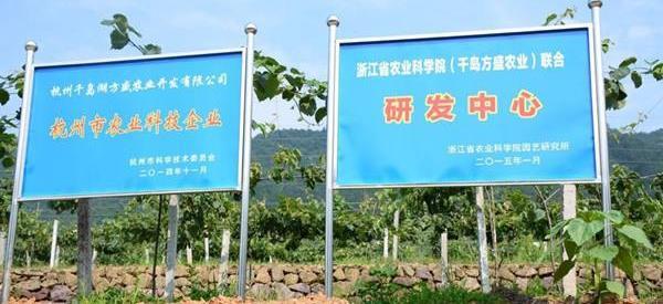 方盛有机农场