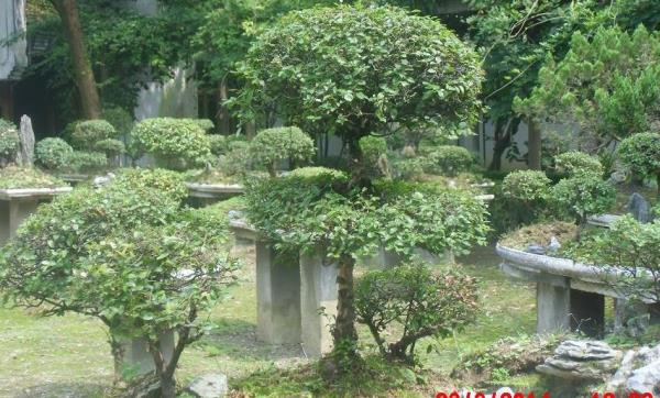 三宫六苑