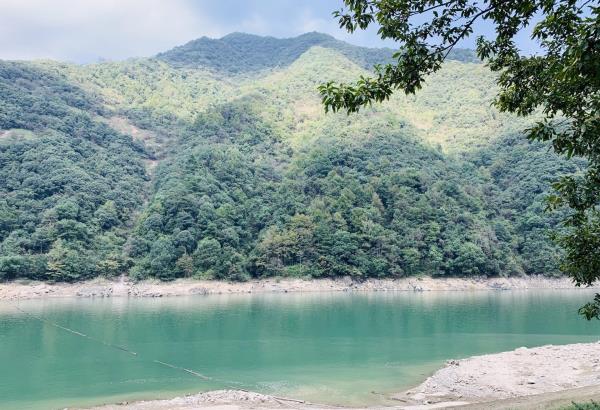 鱼潭村