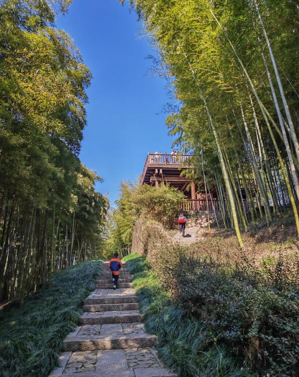 莫角山遗址