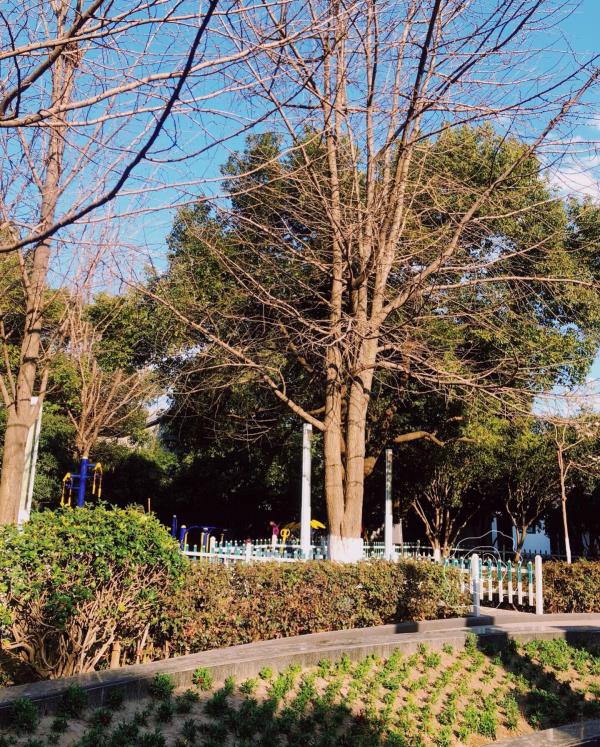 时代公园