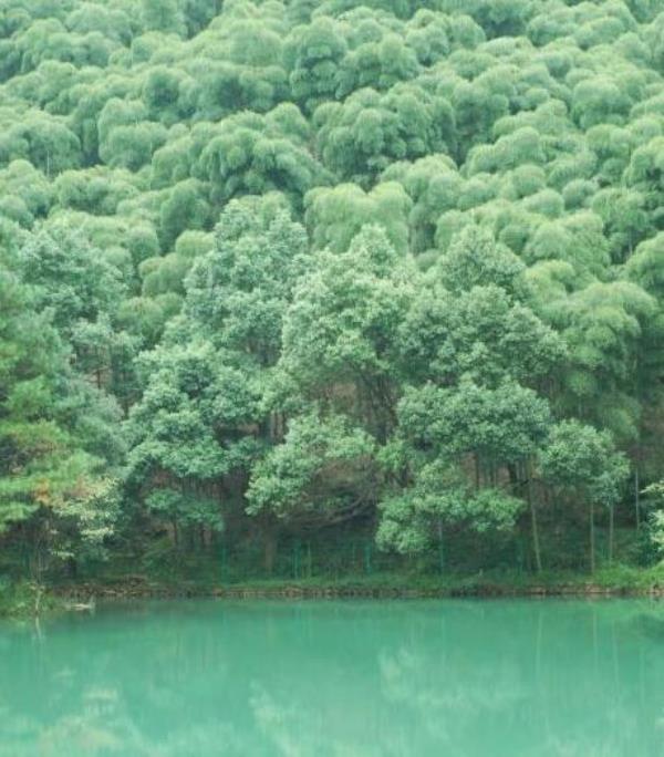 九龙潭