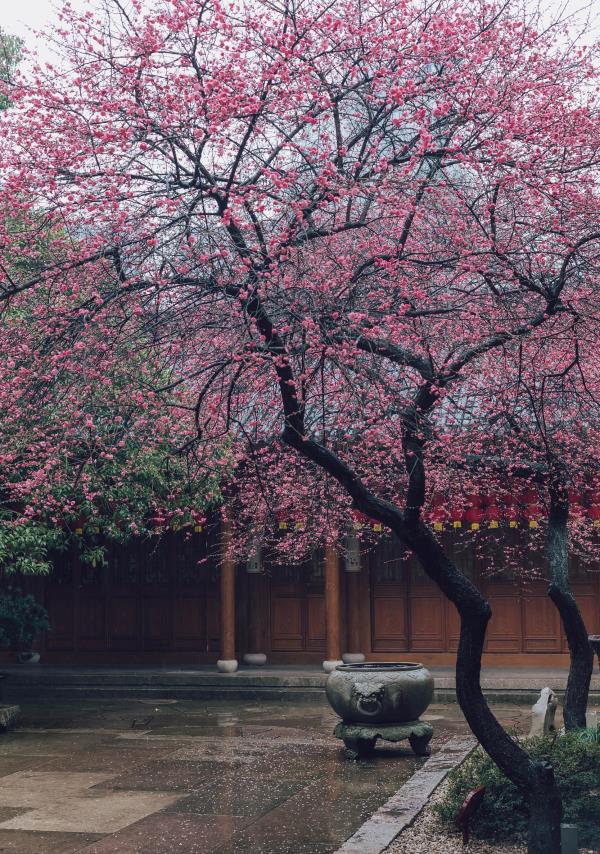 铁佛寺