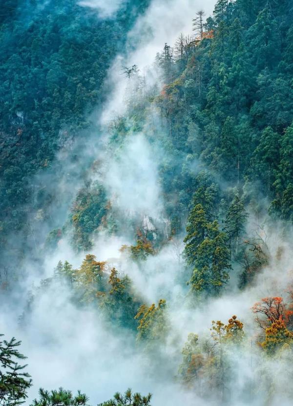 东瀑大峡谷