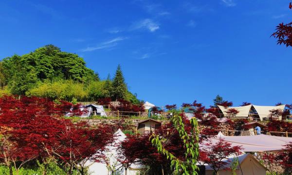 红枫露营地