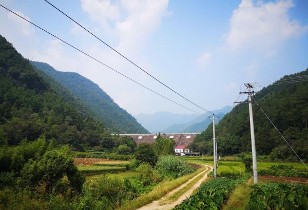 绿荷塘古楠木森林公园