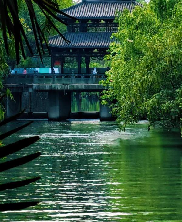 古新河公园