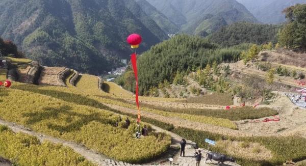 指南山