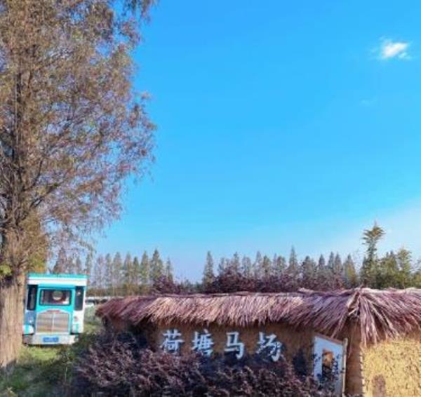 荷塘马场