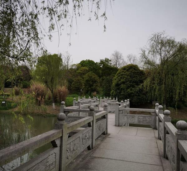 杭州西湖风景名胜区-敬老公园
