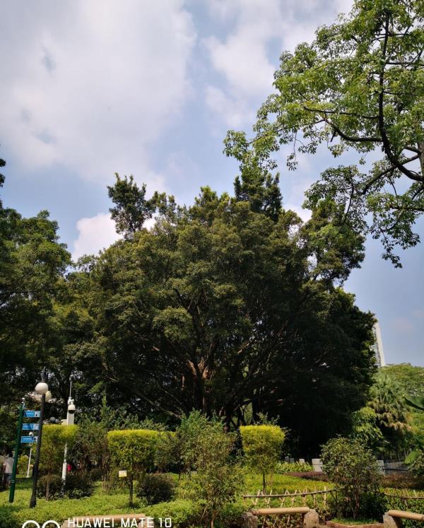 千力草甸景区