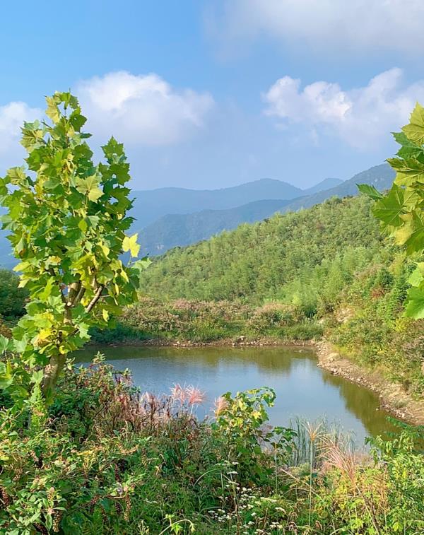 平顶山