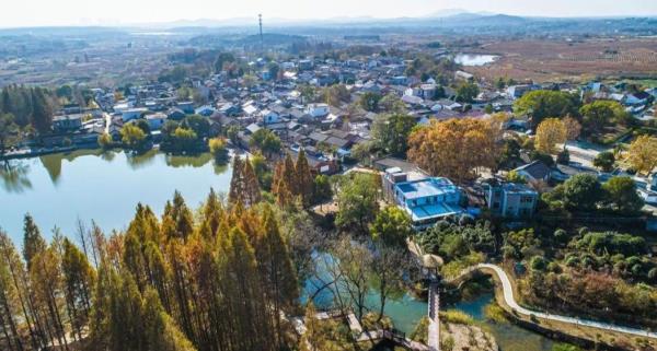镜洪村