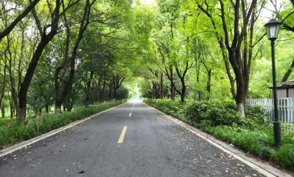 下沙河道中心公园