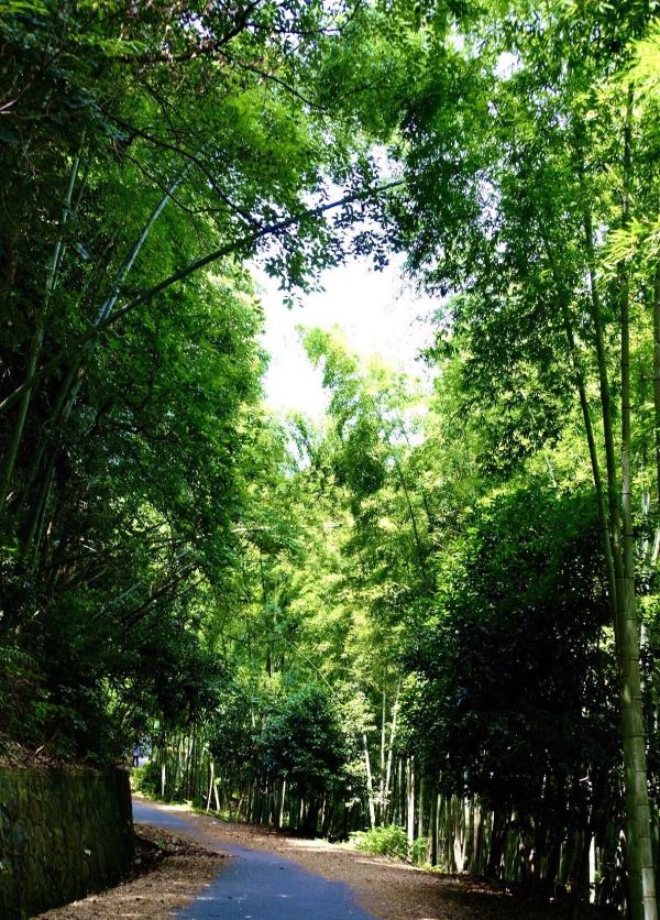 龙尾巴山塘水库