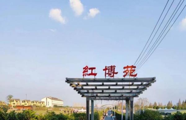 红博苑户外营地・户外烧烤・团建