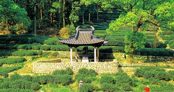梅坞春早