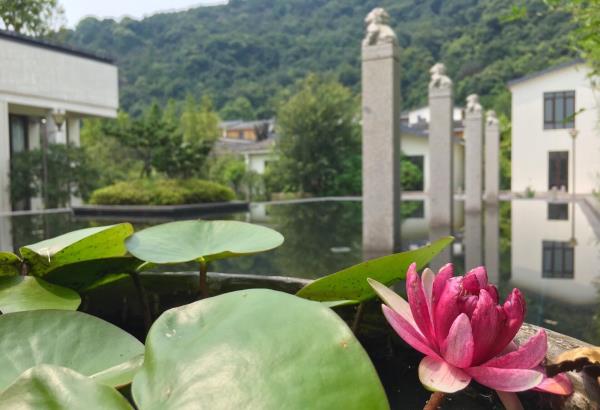 湘湖金融小镇