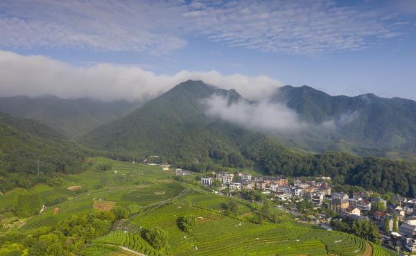 龙坞镇西山森林公园