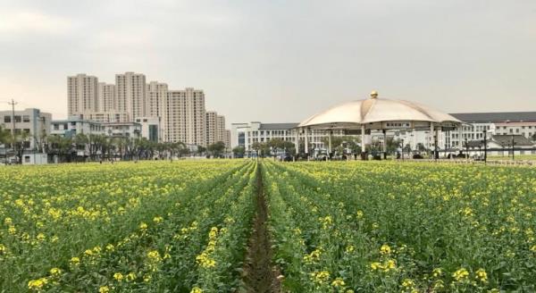 现在新农村.和丽陈家园文化广场