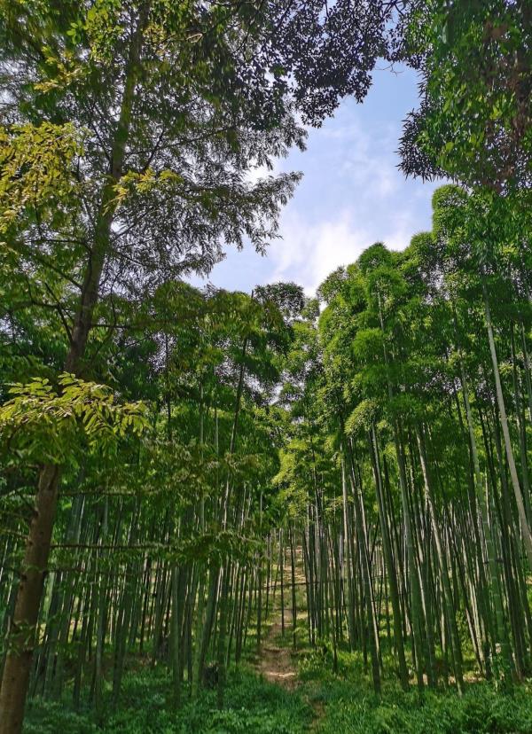 东明山森林公园