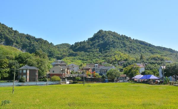 江南慢村