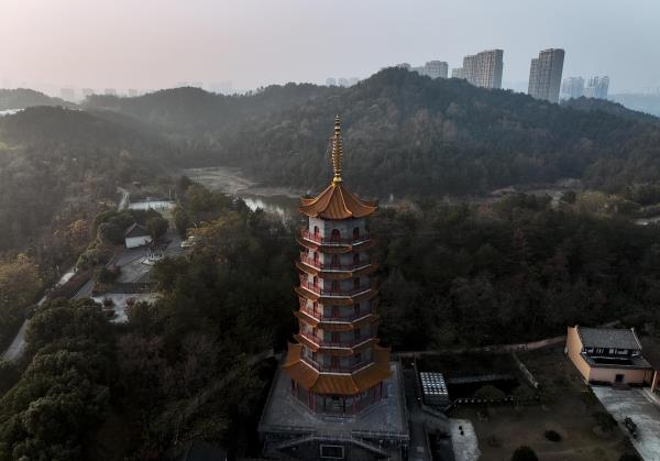 梧桐寺