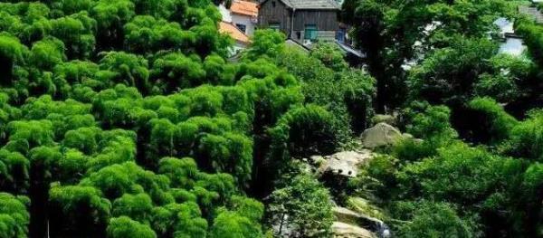 茅塘古村落