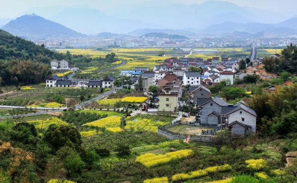 阳山畈村