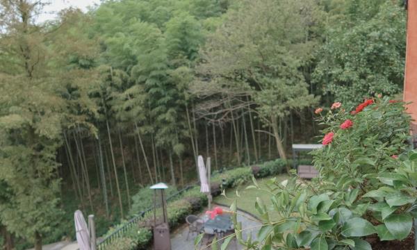 武陵村